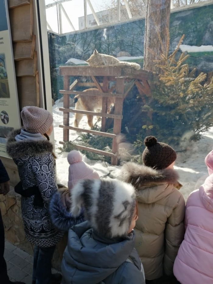 14 марта наши воспитанники посетили Московский зоопарк.